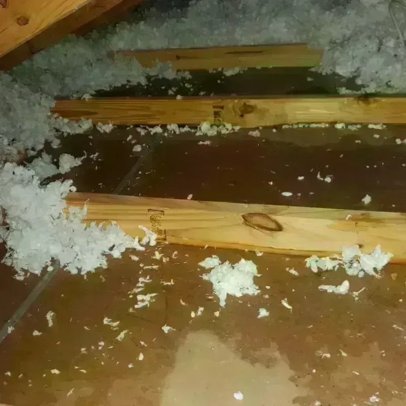 Attic Water Damage in Hinds County, MS