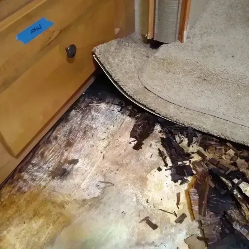 Wood Floor Water Damage in Hinds County, MS